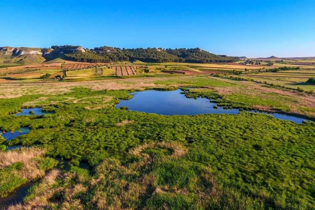 Los Pilares Tourist Home Laguardia Zewnętrze zdjęcie